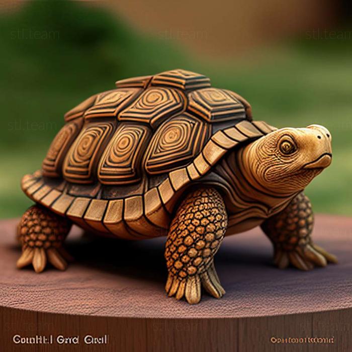 3D model Chelodina colliei (STL)